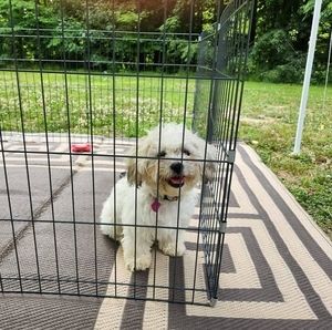 Meet your Posher, Janice